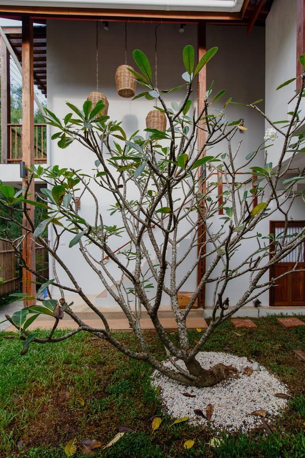 Foresta Villa Hang Dong Exteriér fotografie