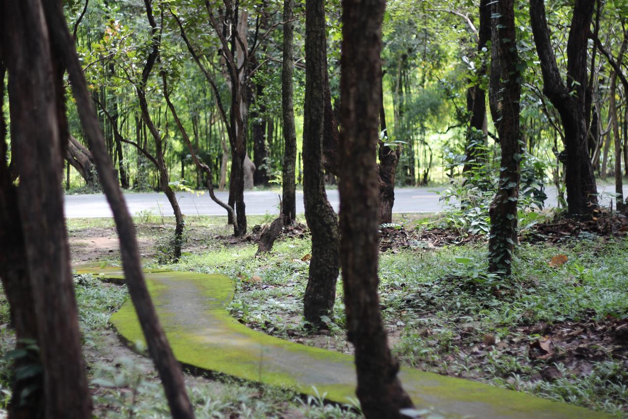 Foresta Villa Hang Dong Exteriér fotografie